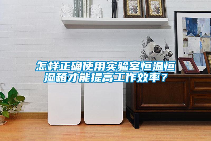 怎樣正確使用實驗室恒溫恒濕箱才能提高工作效率？