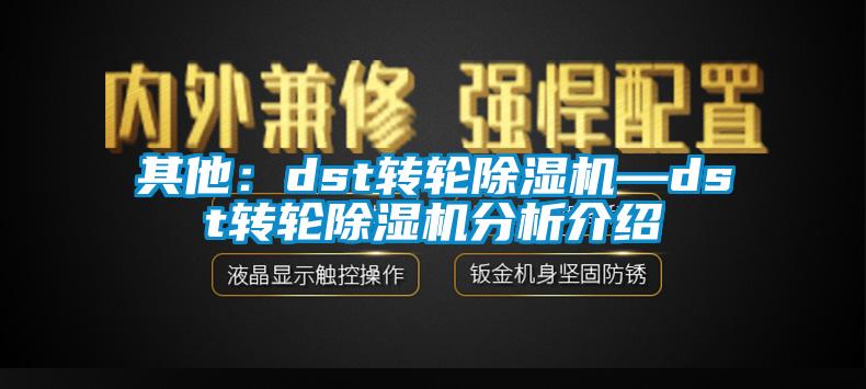 其他：dst轉(zhuǎn)輪除濕機—dst轉(zhuǎn)輪除濕機分析介紹