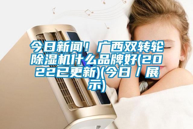 今日新聞！廣西雙轉(zhuǎn)輪除濕機(jī)什么品牌好(2022已更新)(今日／展示)