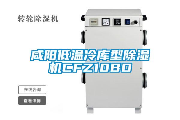 咸陽(yáng)低溫冷庫(kù)型除濕機(jī)CFZ10BD