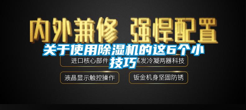 關(guān)于使用除濕機的這6個小技巧
