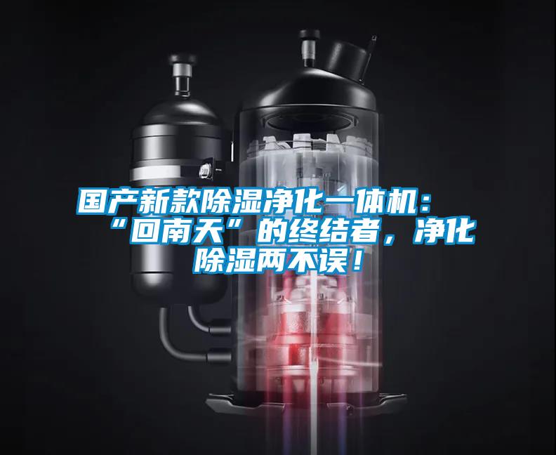 國(guó)產(chǎn)新款除濕凈化一體機(jī)：“回南天”的終結(jié)者，凈化除濕兩不誤！