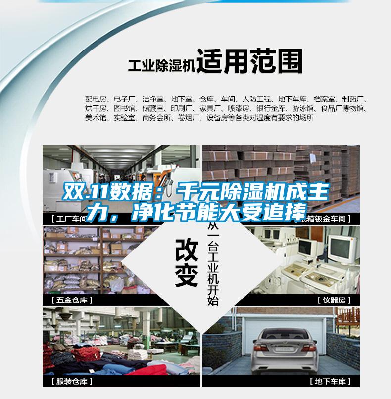 雙.11數(shù)據(jù)：千元除濕機成主力，凈化節(jié)能大受追捧