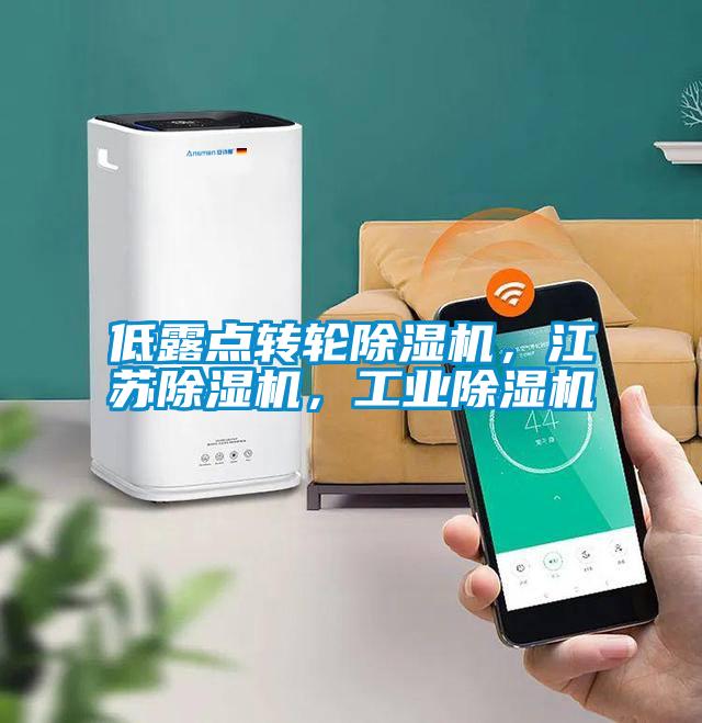 低露點(diǎn)轉(zhuǎn)輪除濕機(jī)，江蘇除濕機(jī)，工業(yè)除濕機(jī)