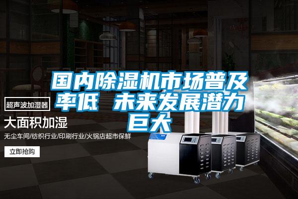 國(guó)內(nèi)除濕機(jī)市場(chǎng)普及率低 未來(lái)發(fā)展?jié)摿薮?></div>
								<div   id=