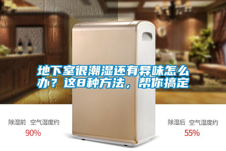 地下室很潮濕還有異味怎么辦？這8種方法，幫你搞定