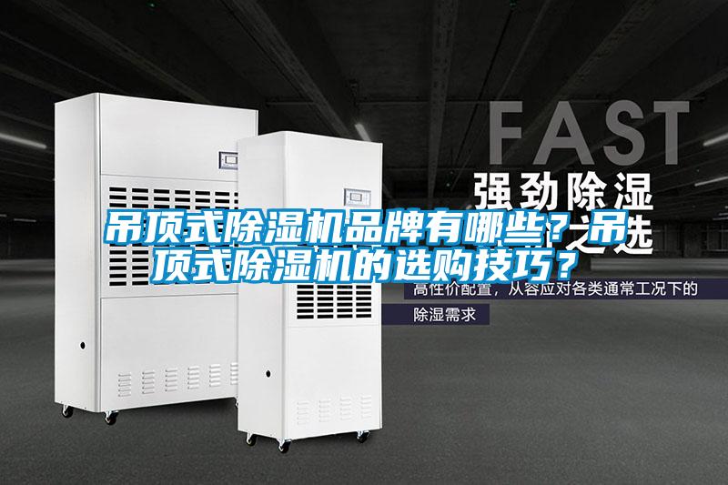 吊頂式除濕機品牌有哪些？吊頂式除濕機的選購技巧？