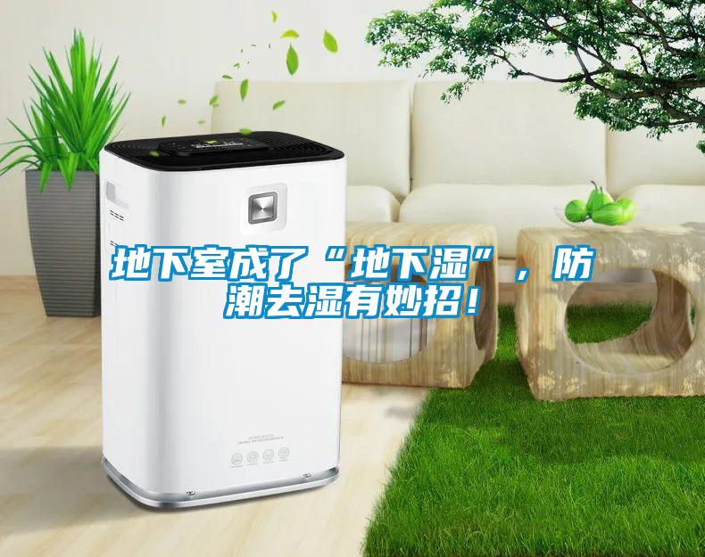 地下室成了“地下濕”，防潮去濕有妙招！