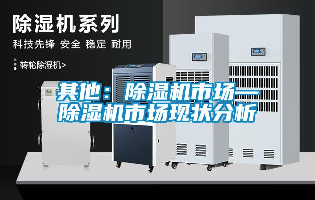 其他：除濕機(jī)市場—除濕機(jī)市場現(xiàn)狀分析