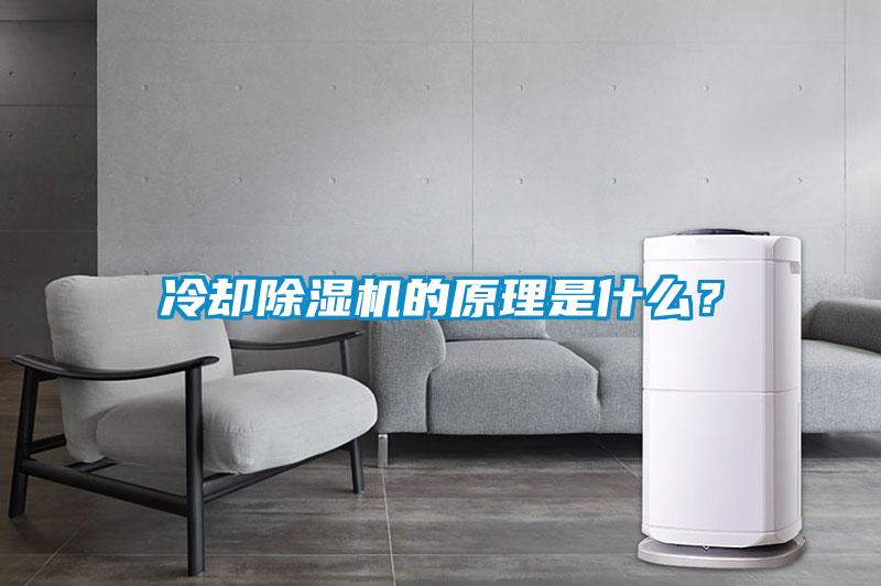 冷卻除濕機(jī)的原理是什么？