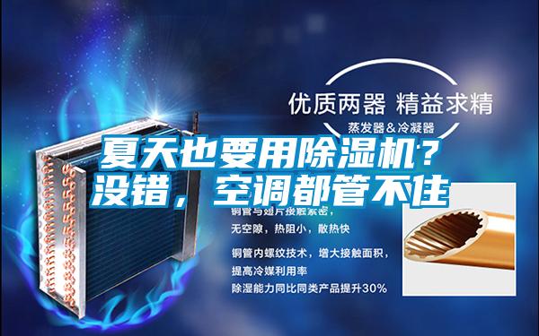夏天也要用除濕機(jī)？沒(méi)錯(cuò)，空調(diào)都管不住