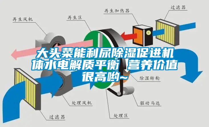 大頭菜能利尿除濕促進(jìn)機(jī)體水電解質(zhì)平衡 營養(yǎng)價值很高喲~