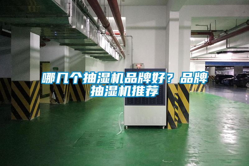 哪幾個(gè)抽濕機(jī)品牌好？品牌抽濕機(jī)推薦