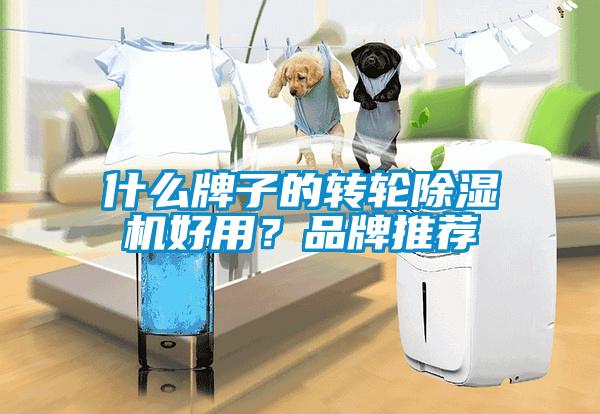 什么牌子的轉(zhuǎn)輪除濕機(jī)好用？品牌推薦