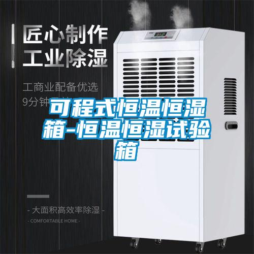 可程式恒溫恒濕箱-恒溫恒濕試驗箱