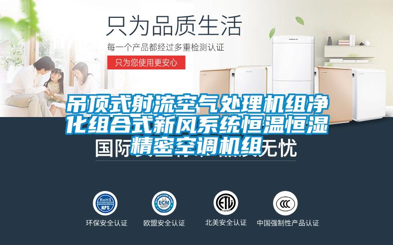 吊頂式射流空氣處理機組凈化組合式新風(fēng)系統(tǒng)恒溫恒濕精密空調(diào)機組