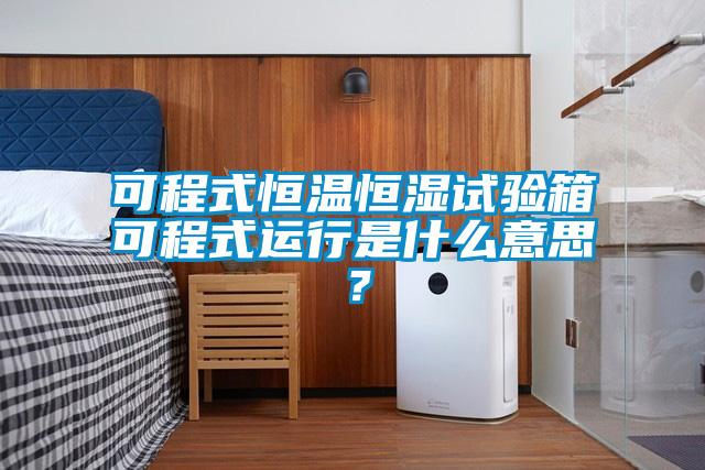 可程式恒溫恒濕試驗箱可程式運行是什么意思？