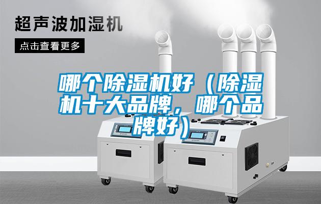 哪個(gè)除濕機(jī)好（除濕機(jī)十大品牌，哪個(gè)品牌好）