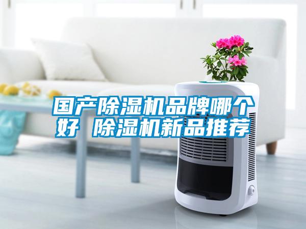 國產(chǎn)除濕機品牌哪個好 除濕機新品推薦
