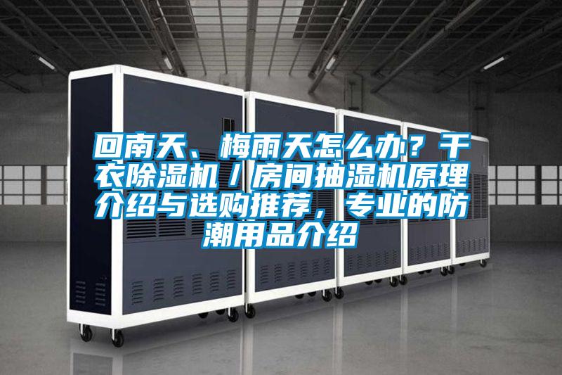回南天、梅雨天怎么辦？干衣除濕機(jī)／房間抽濕機(jī)原理介紹與選購(gòu)?fù)扑]，專(zhuān)業(yè)的防潮用品介紹