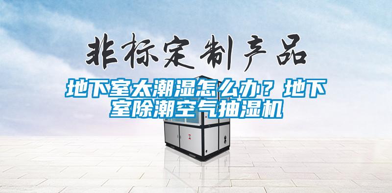 地下室太潮濕怎么辦？地下室除潮空氣抽濕機(jī)
