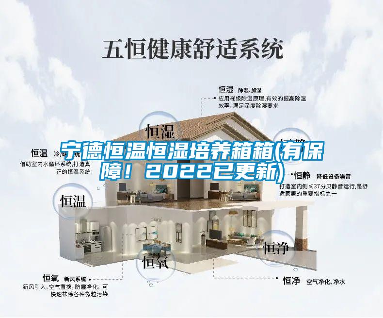 寧德恒溫恒濕培養(yǎng)箱箱(有保障！2022已更新)