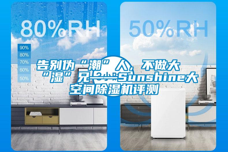 告別偽“潮”人，不做大“濕”兄——Sunshine大空間除濕機(jī)評(píng)測(cè)