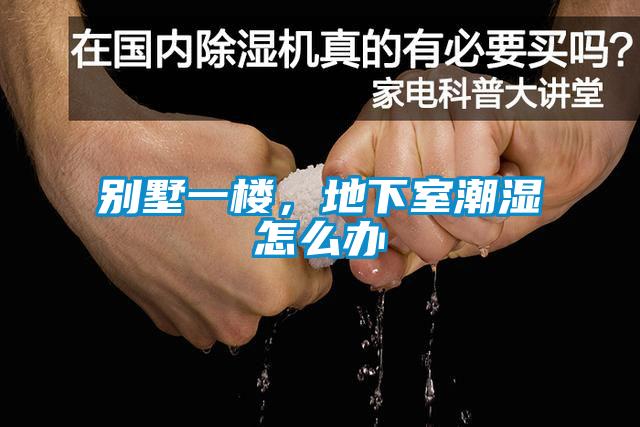別墅一樓，地下室潮濕怎么辦