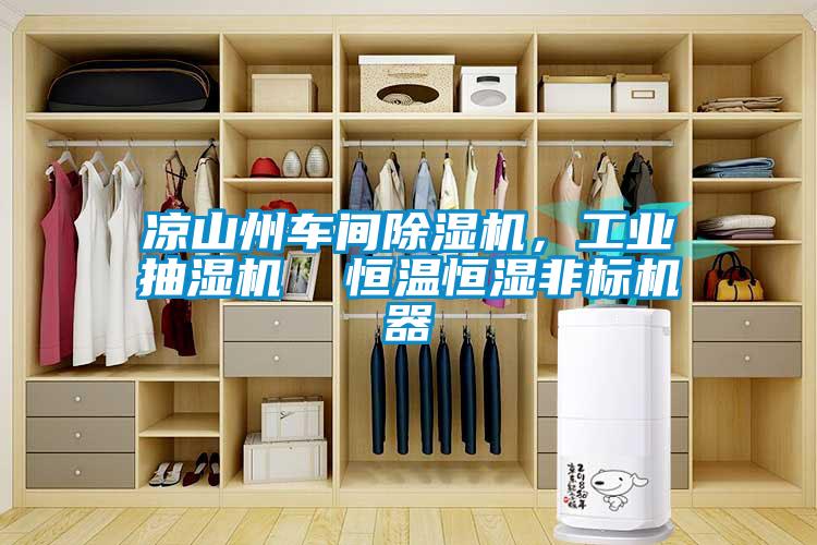 涼山州車間除濕機，工業(yè)抽濕機  恒溫恒濕非標(biāo)機器