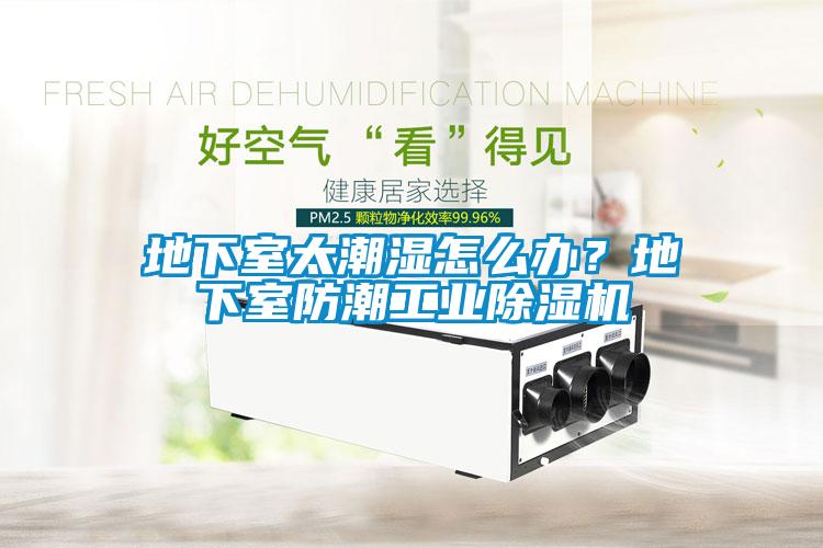 地下室太潮濕怎么辦？地下室防潮工業(yè)除濕機(jī)