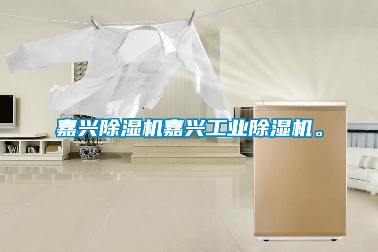 嘉興除濕機(jī)嘉興工業(yè)除濕機(jī)。