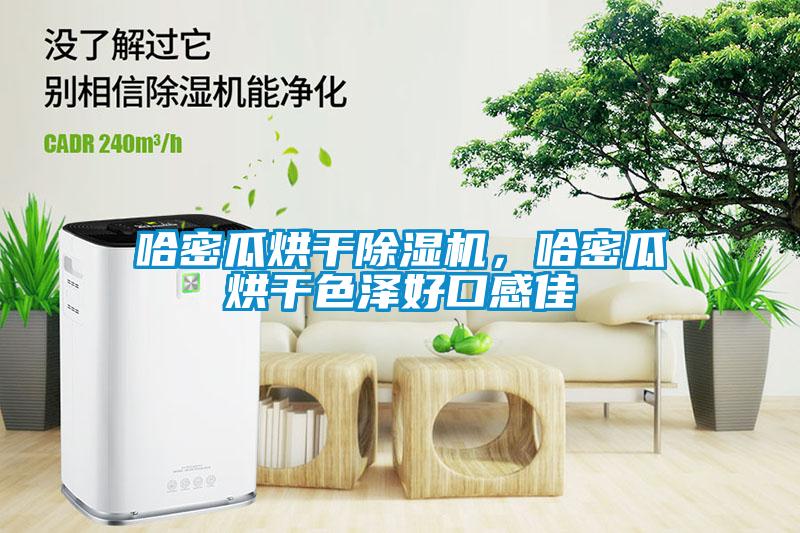 哈密瓜烘干除濕機(jī)，哈密瓜烘干色澤好口感佳