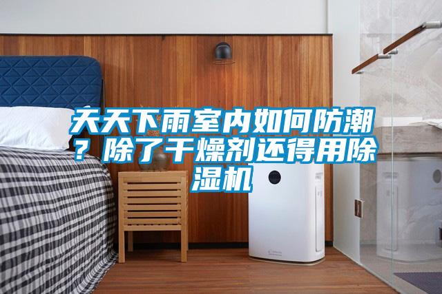 天天下雨室內(nèi)如何防潮？除了干燥劑還得用除濕機(jī)