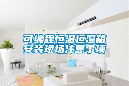 可編程恒溫恒濕箱安裝現(xiàn)場注意事項(xiàng)