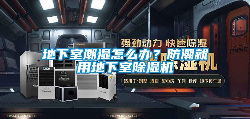 地下室潮濕怎么辦？防潮就用地下室除濕機(jī)