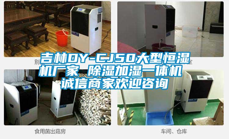 吉林DY-CJ50大型恒濕機(jī)廠家 除濕加濕一體機(jī) 誠(chéng)信商家歡迎咨詢