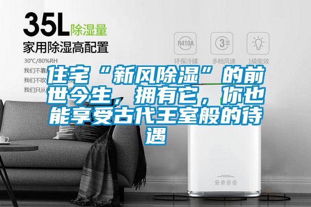 住宅“新風(fēng)除濕”的前世今生，擁有它，你也能享受古代王室般的待遇
