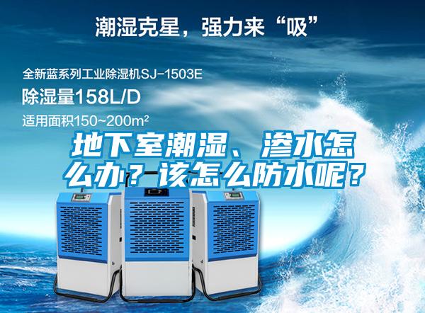 地下室潮濕、滲水怎么辦？該怎么防水呢？