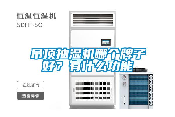 吊頂抽濕機哪個牌子好？有什么功能