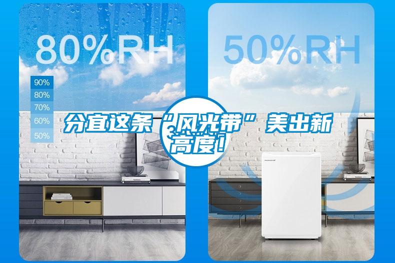 分宜這條“風(fēng)光帶”美出新高度！