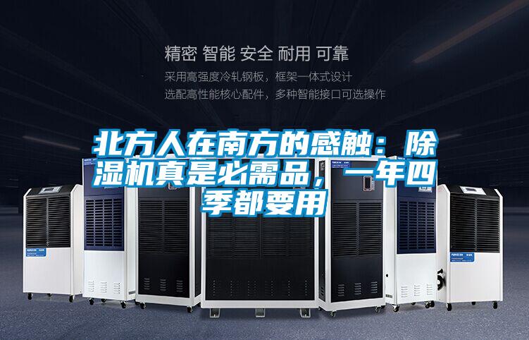 北方人在南方的感觸：除濕機真是必需品，一年四季都要用
