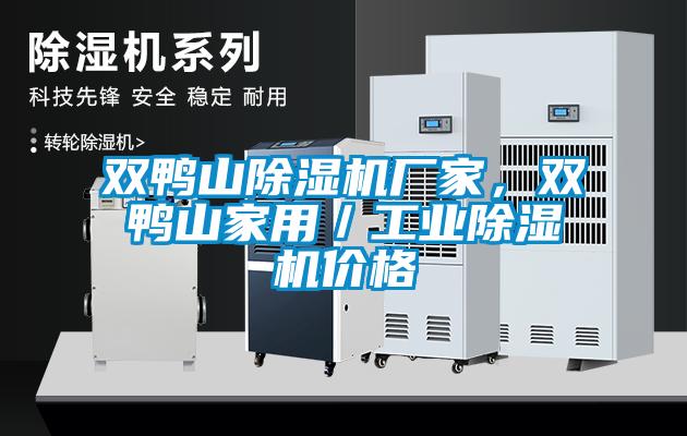 雙鴨山除濕機(jī)廠家，雙鴨山家用／工業(yè)除濕機(jī)價(jià)格