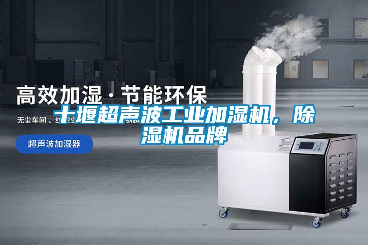十堰超聲波工業(yè)加濕機(jī)，除濕機(jī)品牌