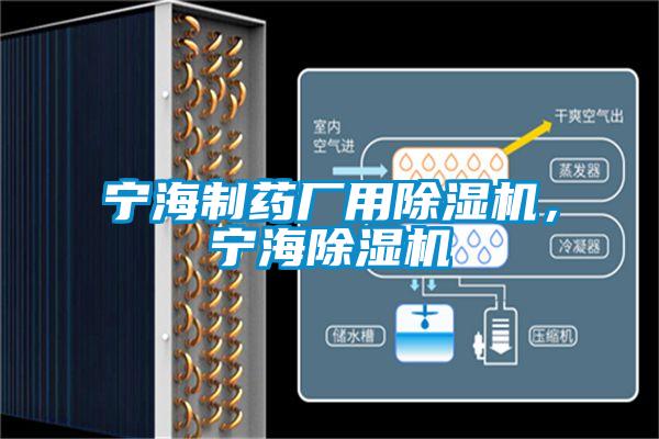 寧海制藥廠用除濕機，寧海除濕機