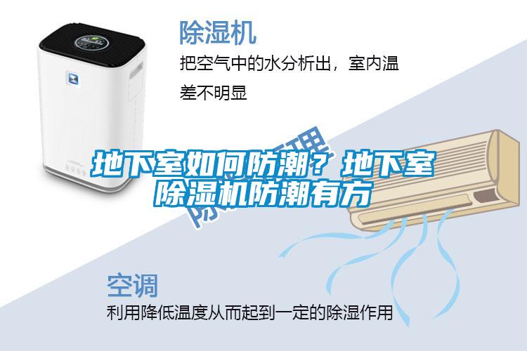 地下室如何防潮？地下室除濕機(jī)防潮有方