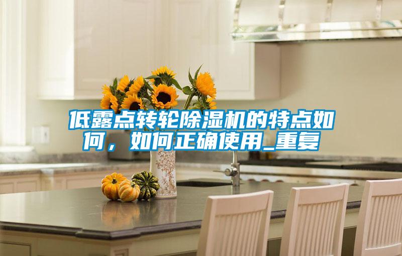 低露點(diǎn)轉(zhuǎn)輪除濕機(jī)的特點(diǎn)如何，如何正確使用_重復(fù)