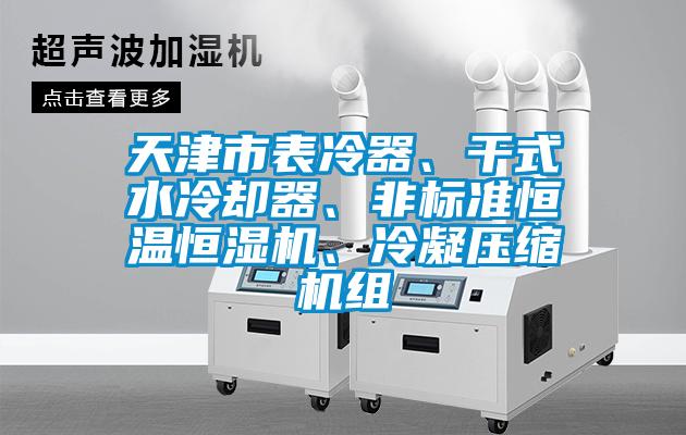 天津市表冷器、干式水冷卻器、非標(biāo)準(zhǔn)恒溫恒濕機(jī)、冷凝壓縮機(jī)組