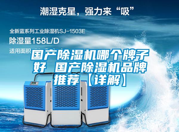 國產(chǎn)除濕機哪個牌子好 國產(chǎn)除濕機品牌推薦【詳解】