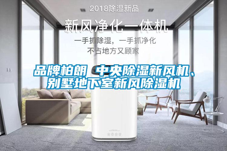品牌柏朗 中央除濕新風(fēng)機、別墅地下室新風(fēng)除濕機