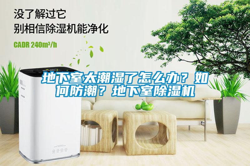 地下室太潮濕了怎么辦？如何防潮？地下室除濕機(jī)